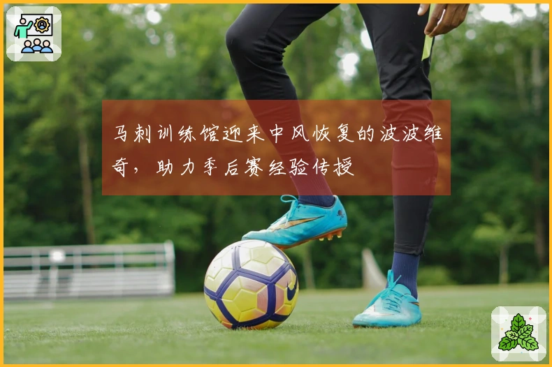 马刺训练馆迎来中风恢复的波波维奇，助力季后赛经验传授