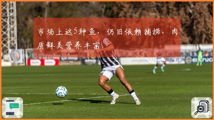 市场上这5种鱼，仍旧依赖捕捞，肉质鲜美营养丰富