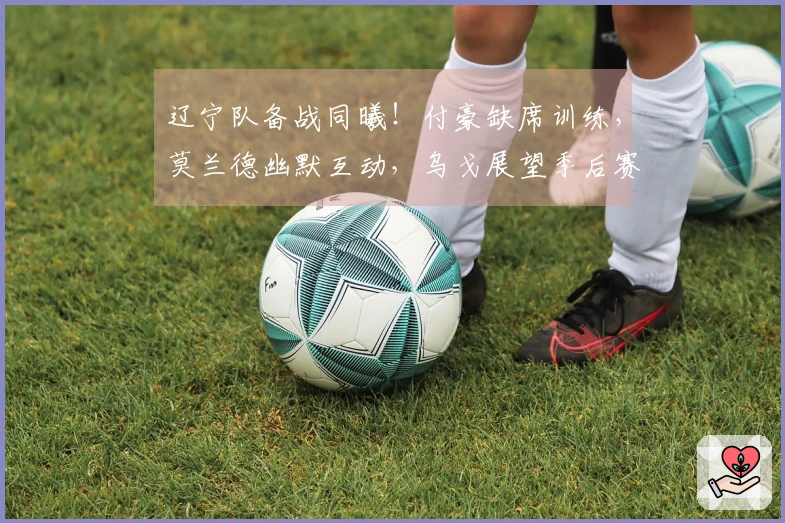 辽宁队备战同曦！付豪缺席训练，莫兰德幽默互动，乌戈展望季后赛！